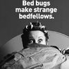 We're Not #1! New York 7th Worst City For Bed Bugs